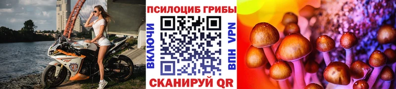 Галлюциногенные грибы Magic Shrooms Купить закладки Зверево